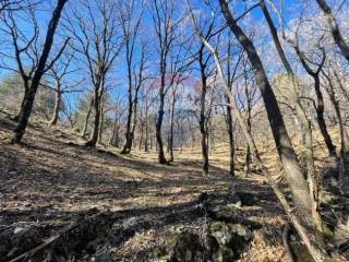 Terreno agricolo in vendita a linguaglossa strada mareneve