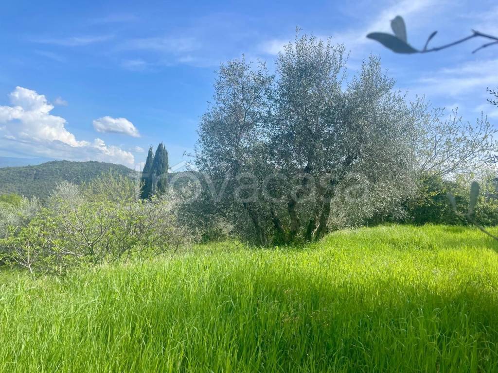 immagine annuncio 8 di 9
