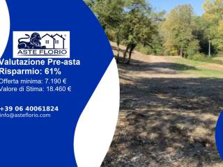 Terreno agricolo all'asta a cagli via flaminia nord