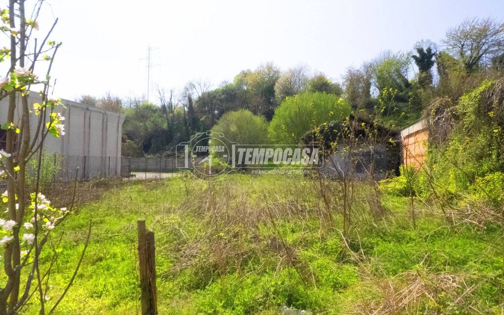 immagine annuncio 7 di 14