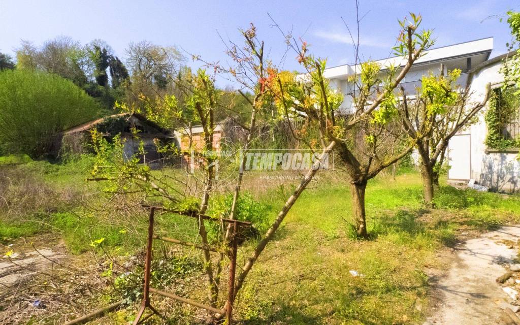 immagine annuncio 9 di 14