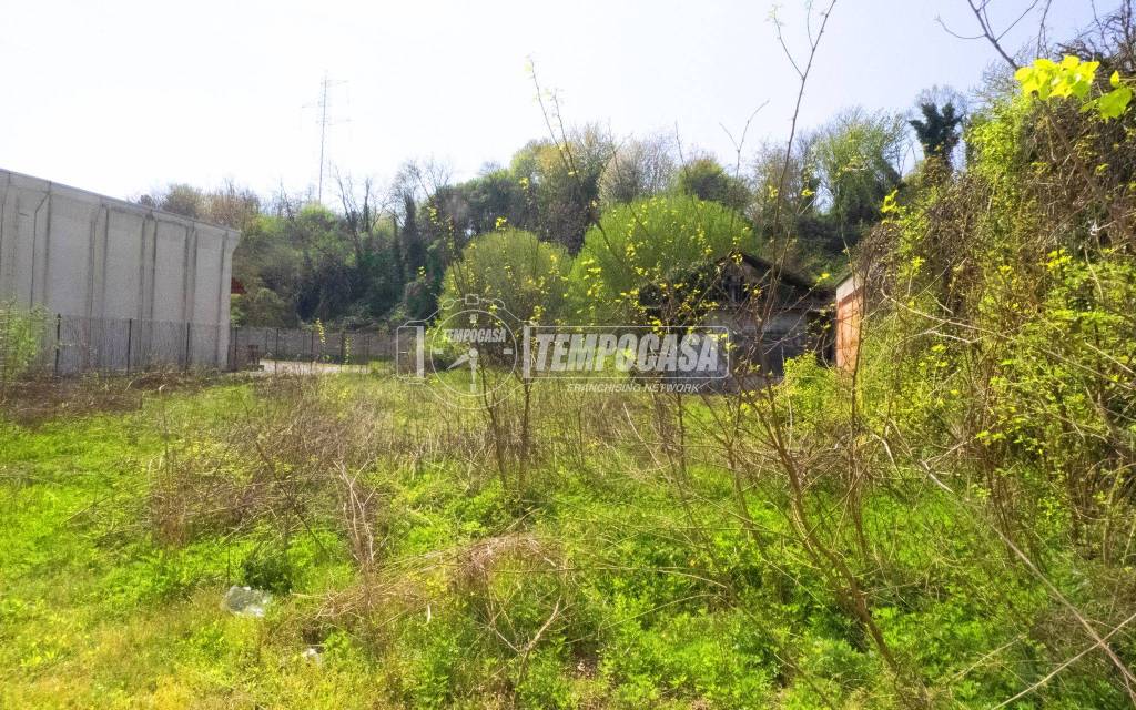 immagine annuncio 10 di 14