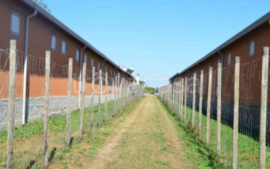 immagine annuncio 2 di 11
