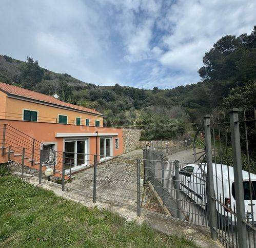 immagine annuncio 2 di 14