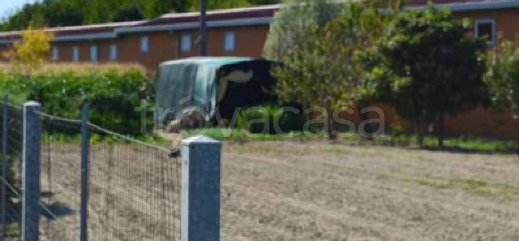 immagine annuncio 3 di 12