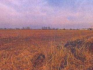 Terreno agricolo all'asta a musile di piave via triestina