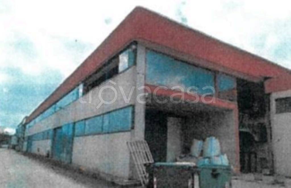 immagine annuncio 2 di 14