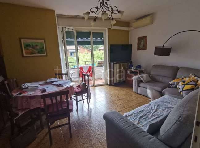 immagine annuncio 3 di 12