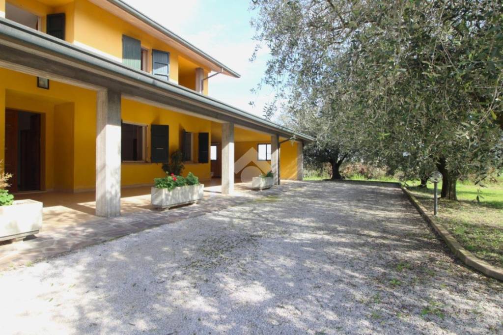 immagine annuncio 1 di 14