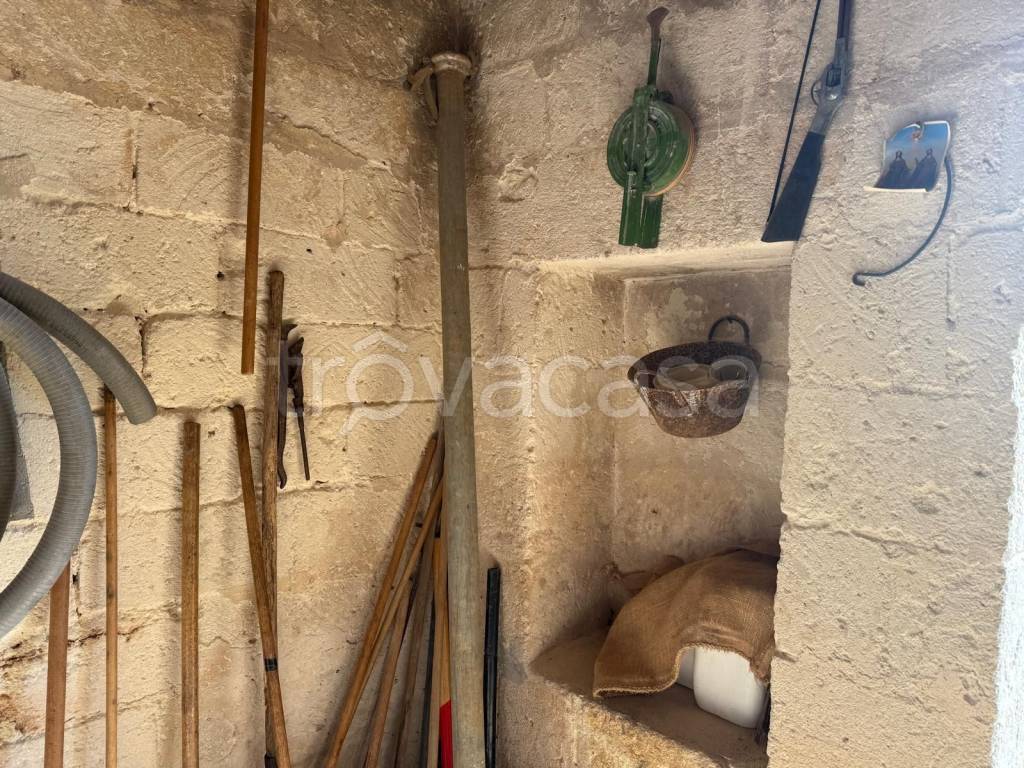 immagine annuncio 3 di 13