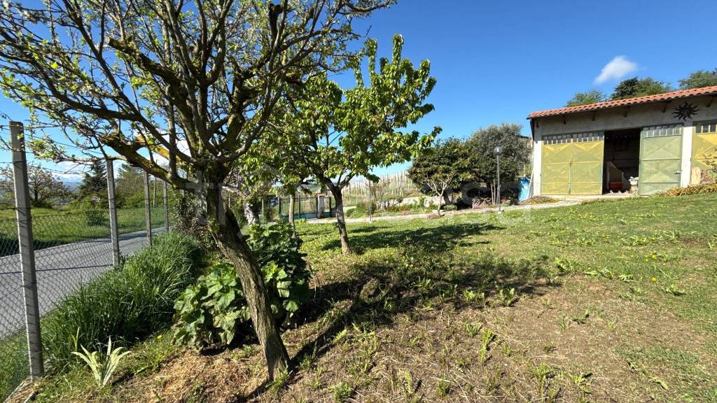 immagine annuncio 6 di 15