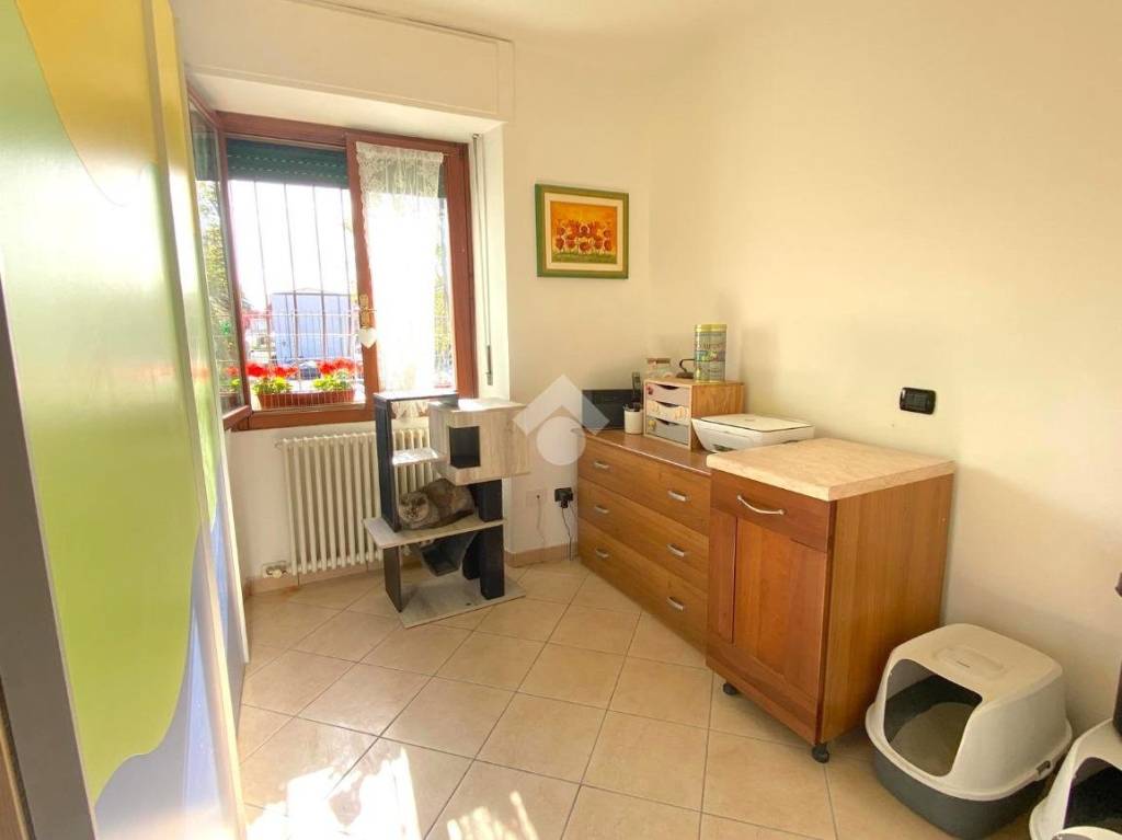 immagine annuncio 7 di 12