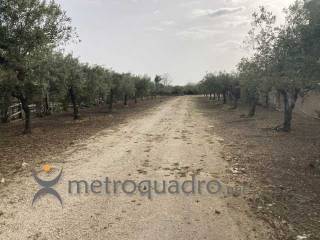 Terreno agricolo in vendita a sciacca contrada scunchipani oleastro d'inveges