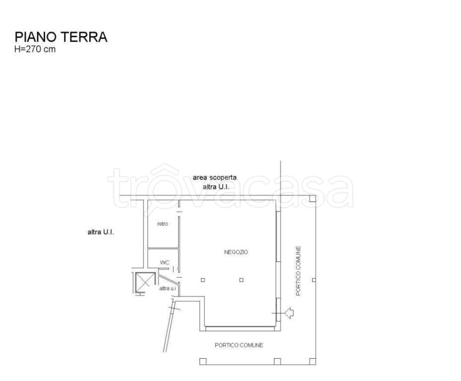 immagine annuncio 2 di 11