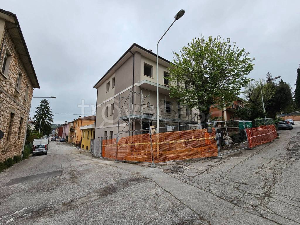 immagine annuncio 9 di 12