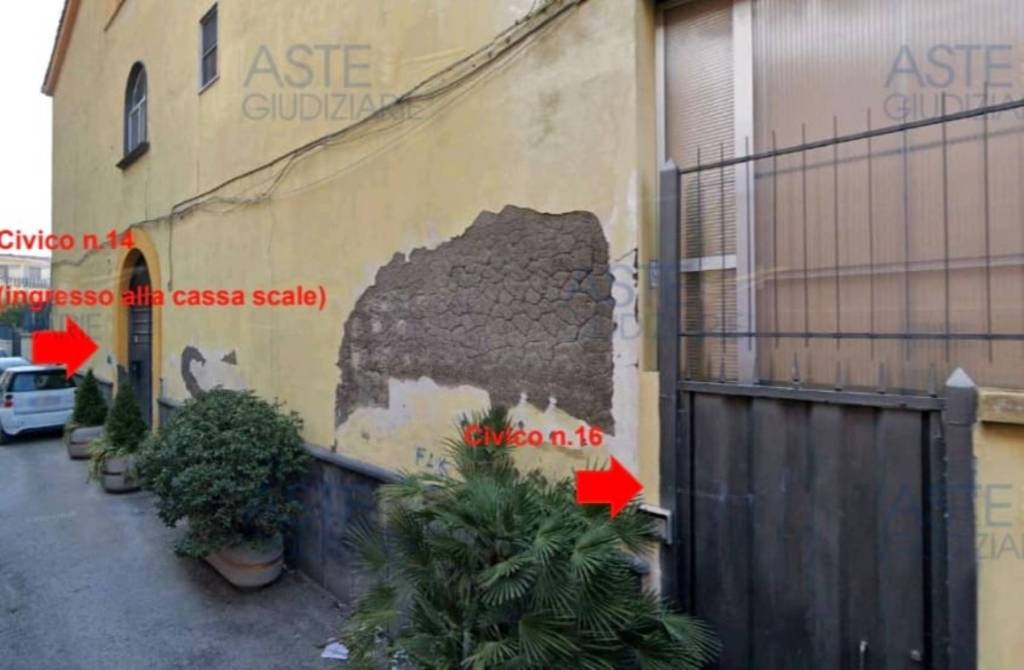 immagine annuncio 5 di 13
