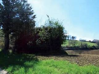 Terreno agricolo all'asta a corridonia contrada colle s. martino, 62014 corridonia mc, italia