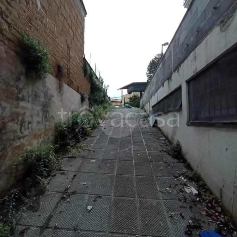 immagine annuncio 9 di 14