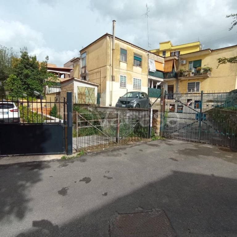 immagine annuncio 12 di 14