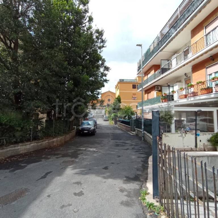 immagine annuncio 13 di 14