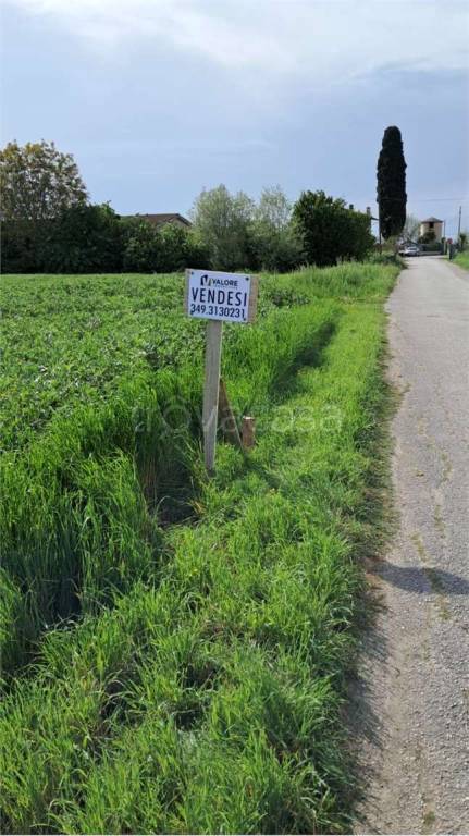 immagine annuncio 8 di 11