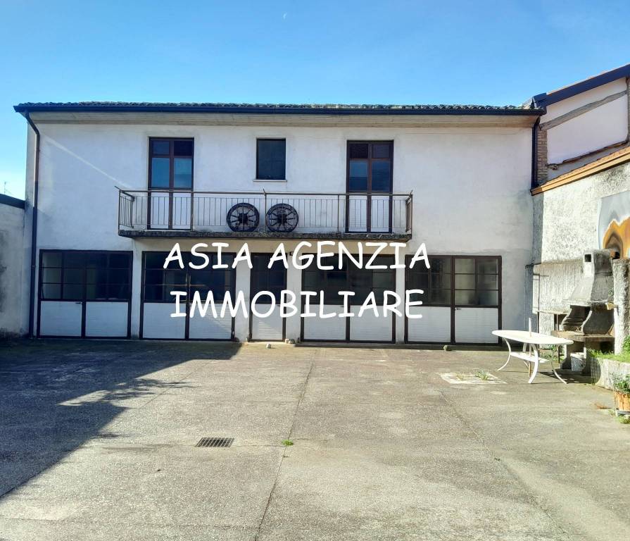 immagine annuncio 1 di 3