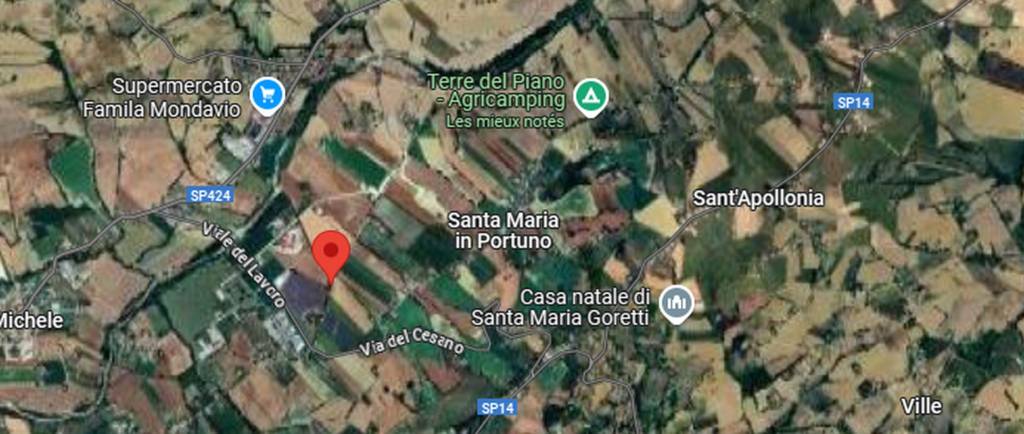 immagine annuncio 5 di 12