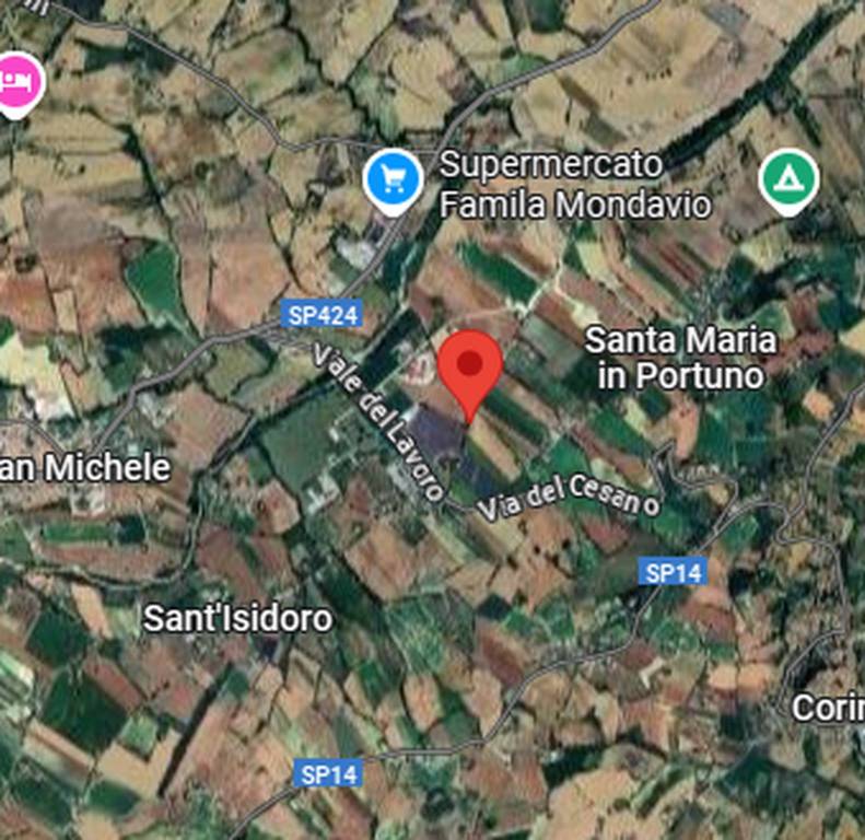 immagine annuncio 6 di 12
