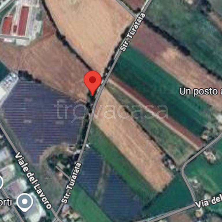 immagine annuncio 8 di 12