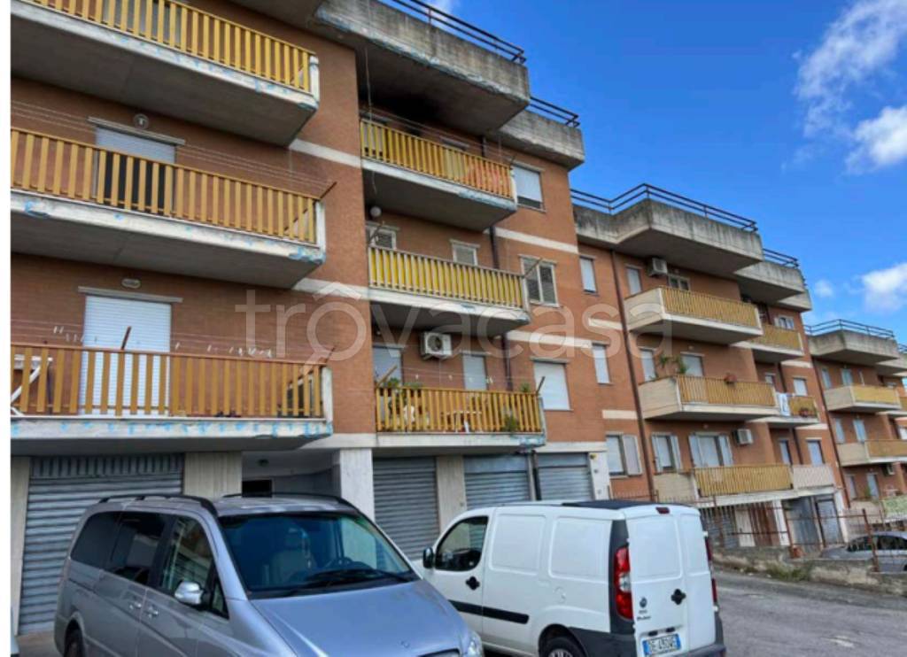 immagine annuncio 10 di 11