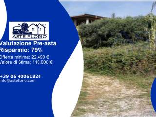 Terreno agricolo all'asta a ferentino strada provinciale monticchio