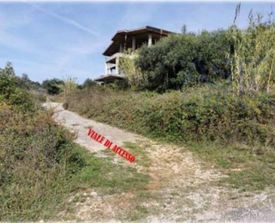 immagine annuncio 4 di 14