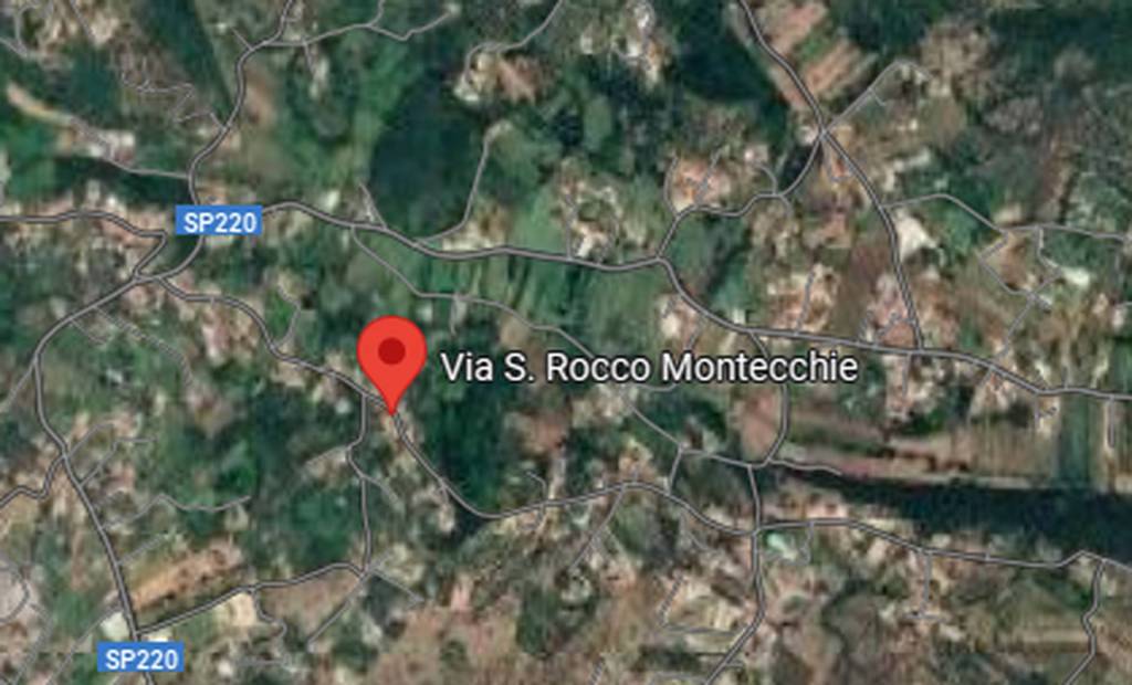 immagine annuncio 9 di 14