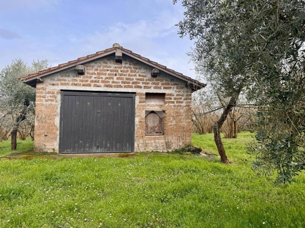 immagine annuncio 11 di 15