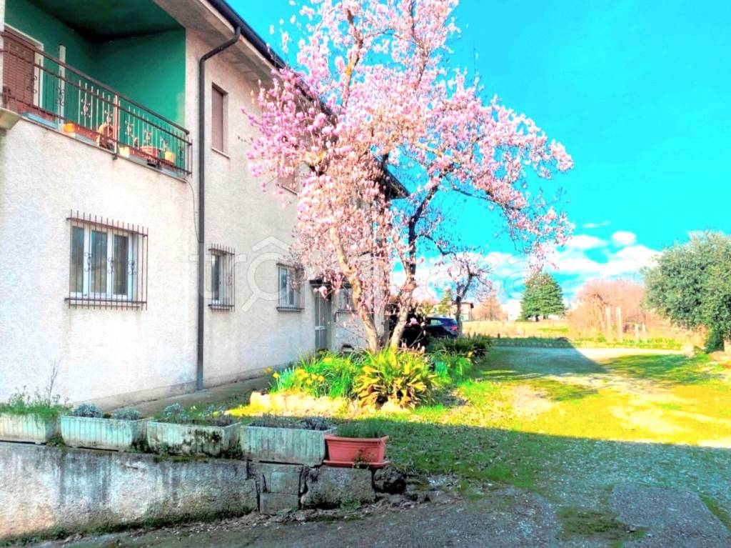 immagine annuncio 10 di 15