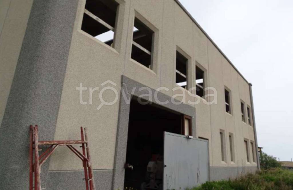 immagine annuncio 6 di 13