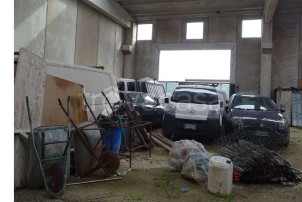 immagine annuncio 9 di 13