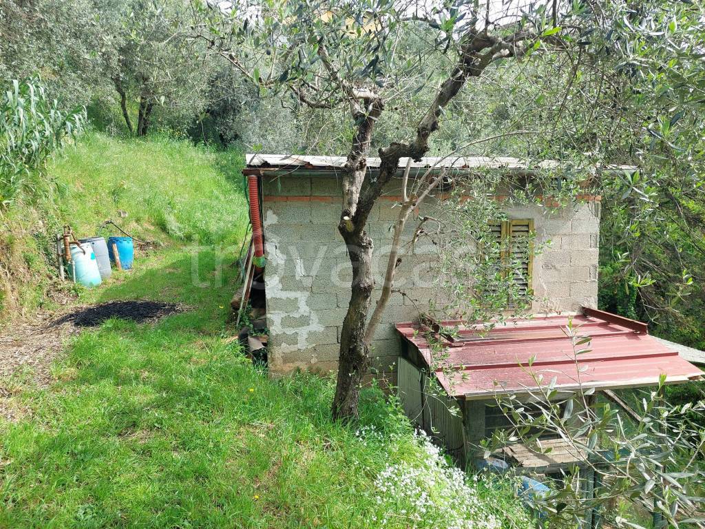 immagine annuncio 9 di 15