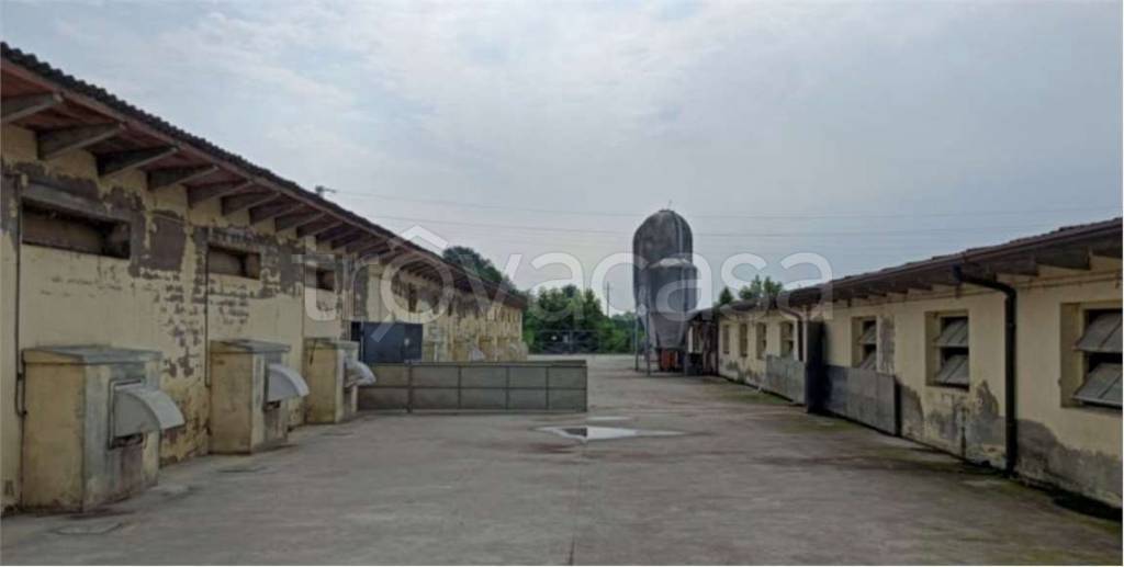 immagine annuncio 4 di 14
