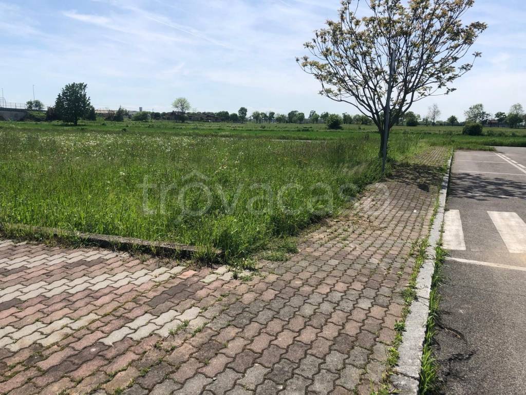 immagine annuncio 6 di 7