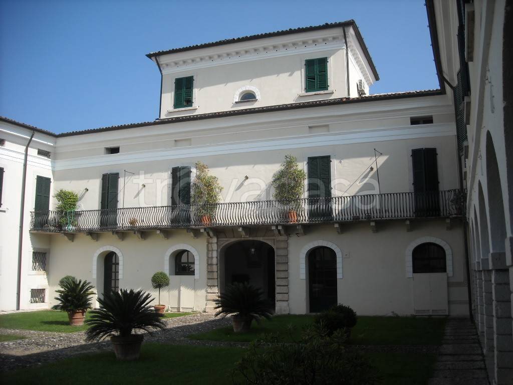 immagine annuncio 2 di 11