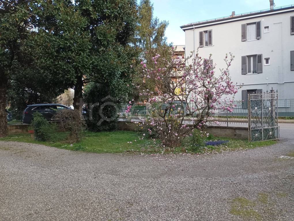 immagine annuncio 3 di 14