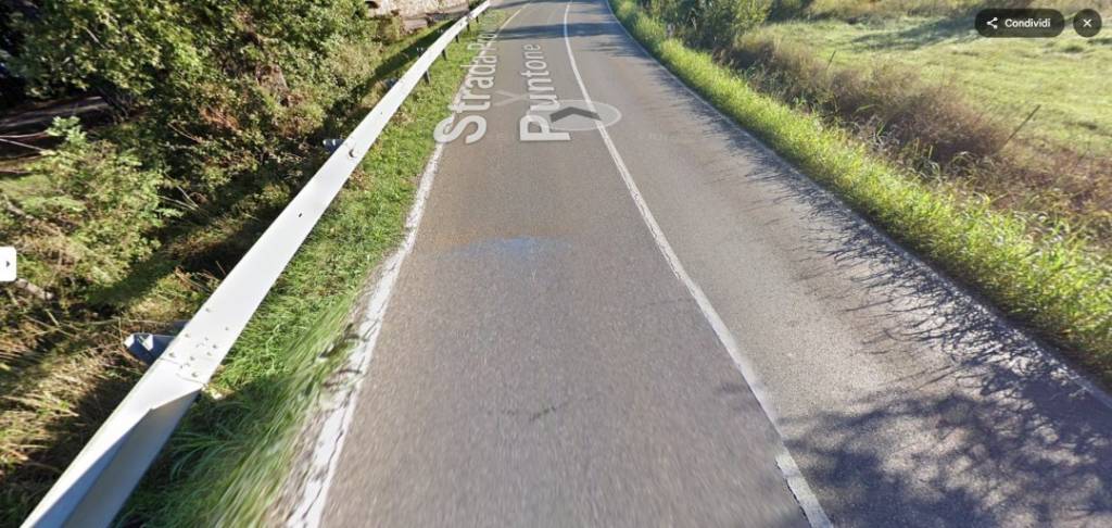 immagine annuncio 2 di 12