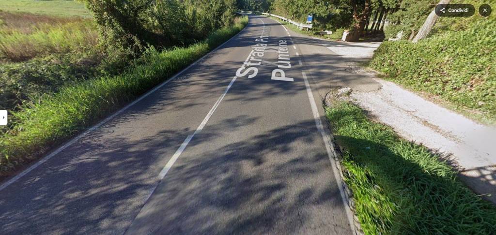 immagine annuncio 8 di 12