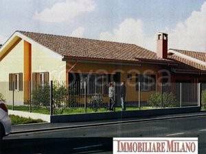 immagine annuncio 2 di 7