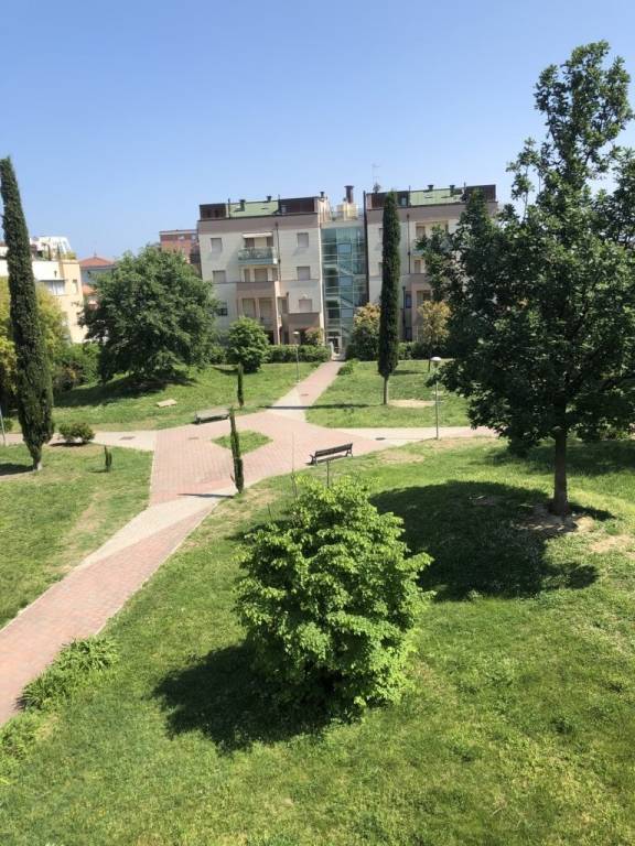 immagine annuncio 4 di 14