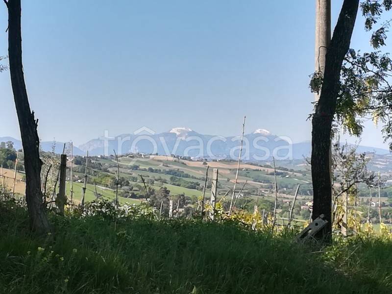 immagine annuncio 7 di 13