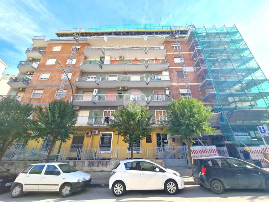 immagine annuncio 11 di 13