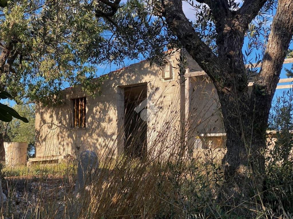 immagine annuncio 2 di 12