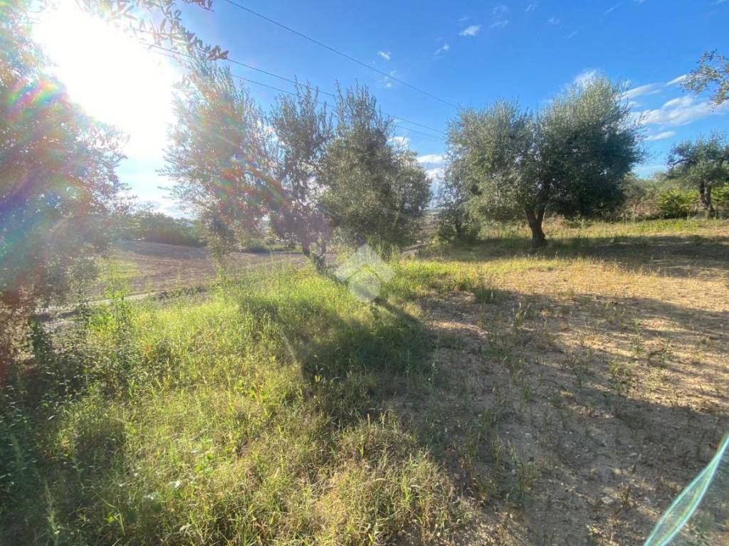 immagine annuncio 4 di 12